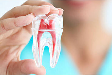Endodontic Dentistry